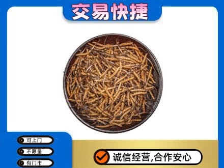 固原原州区回收散虫草